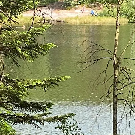 Carpinus Ii Nad Jeziorem *