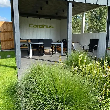 Carpinus Ii Nad Jeziorem * Letowo (West Pomeranian)