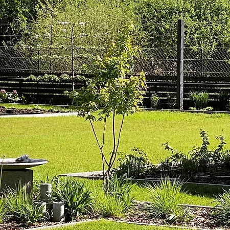 Carpinus Ii Nad Jeziorem Дом отдыха Letowo (West Pomeranian)