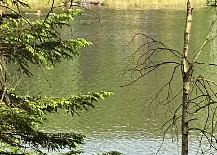 Carpinus Ii Nad Jeziorem *