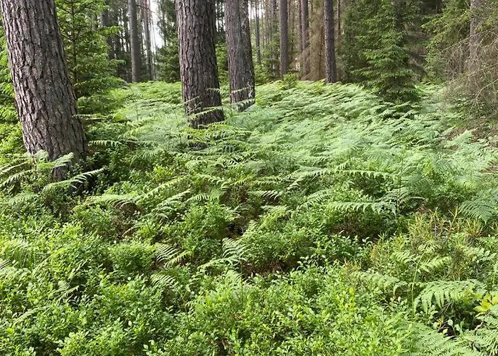 Carpinus Ii Nad Jeziorem Casa vacanze *