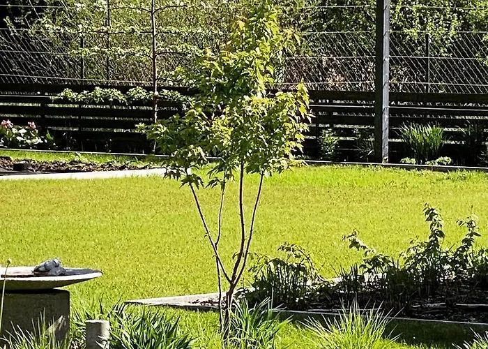 Carpinus Ii Nad Jeziorem Casa vacanze Letowo (West Pomeranian)